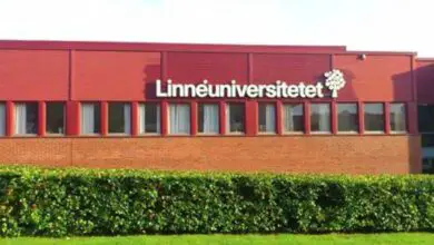 Fully Funded Scholarships at Linnaeus University